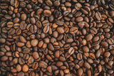 coffee bean up close