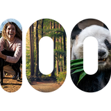 100 precent icon