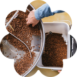 fresh roasted coffee icon