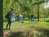 park cleanup project
